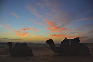 4 days tour from Marrakech to Fes