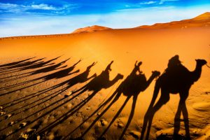 Shadows of camels and riders stretch across sunlit Sahara desert dunes, evoking adventure.