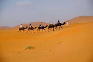 3 days Tour From Marrakech to desert